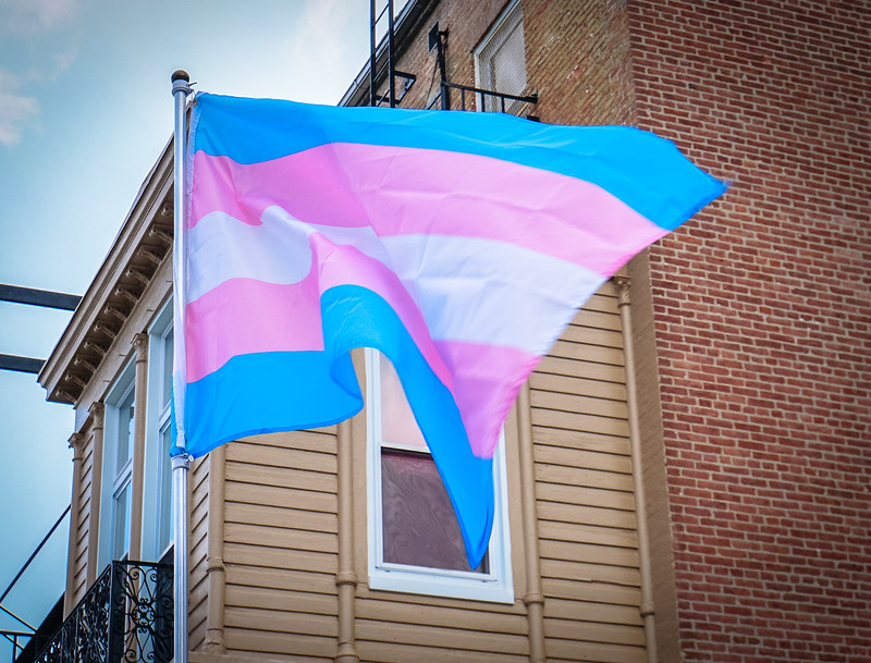 Trans flag waving