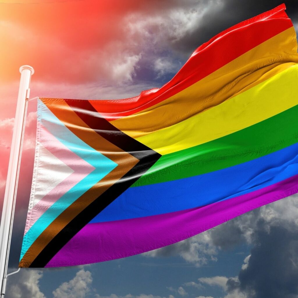 flag featuring rainbow colours, black pride and trans colours flies